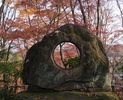 大山崎山荘・庭園①
