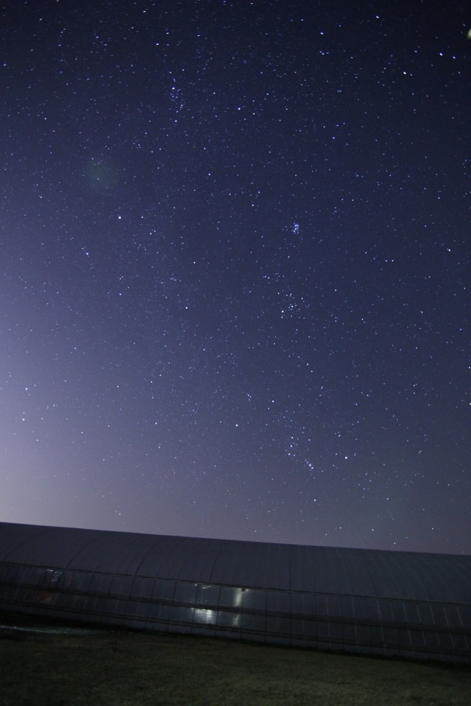 星1