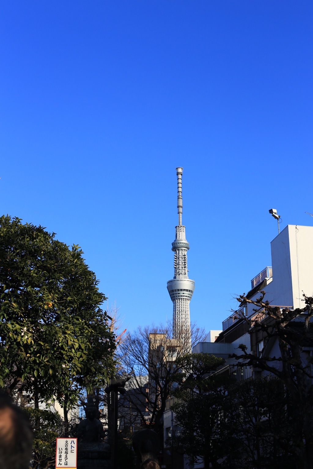 浅草方面から