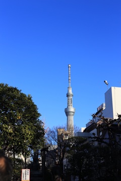 浅草方面から
