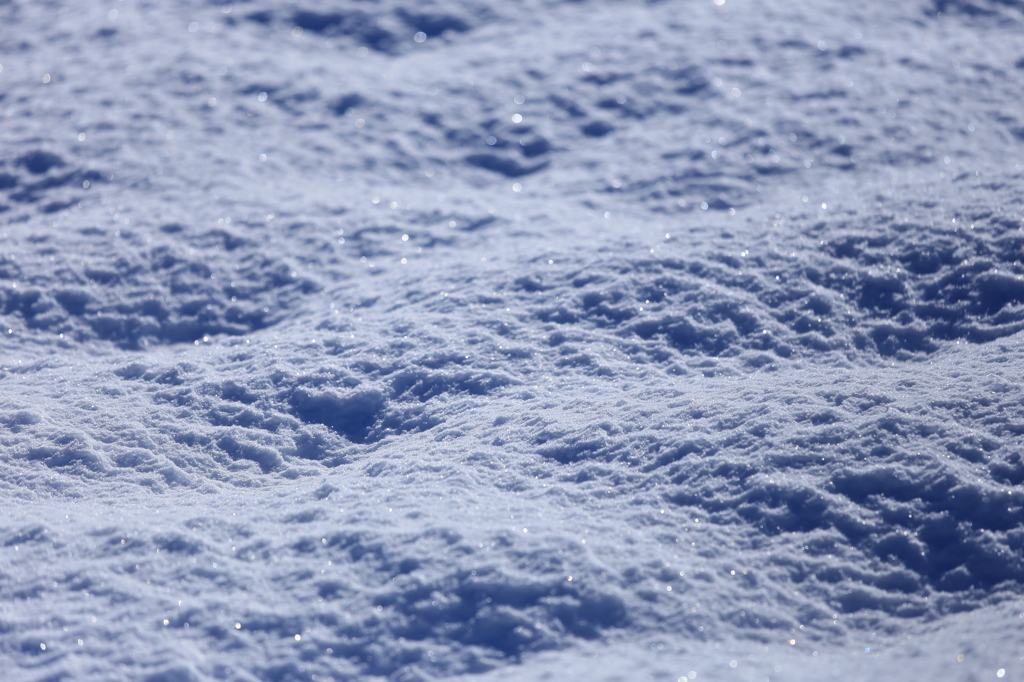 雪模様