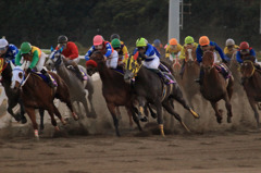 2013 東京２歳優駿牝馬