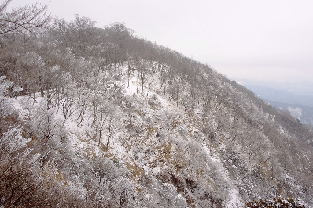 雪景色