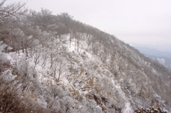 雪景色