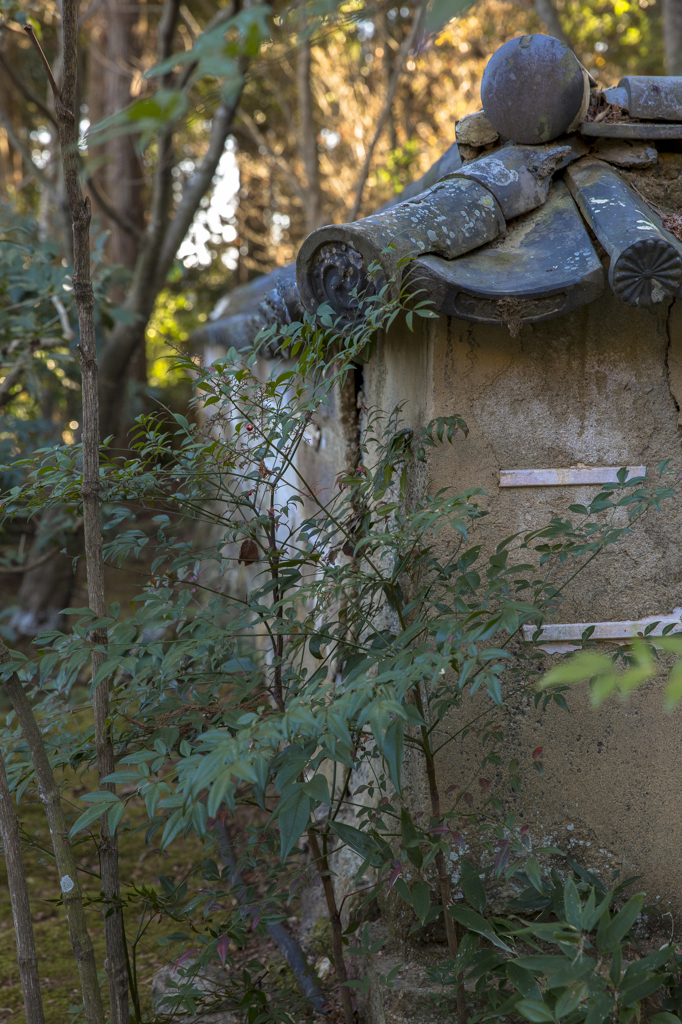 龍潭寺１