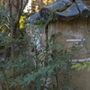 龍潭寺１