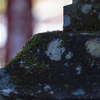 _MG_0623