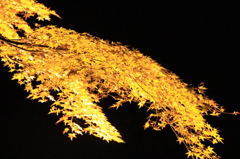 石山寺の紅葉