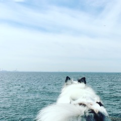 一緒に海を見ていた午後