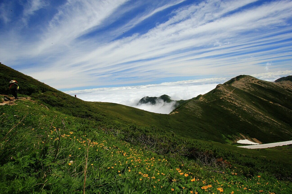 Cafe-download-112210707184357