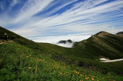 Cafe-download-112210707184357