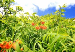 Cafe-download-112310807042754