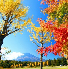 Cafe-download-111880606173210