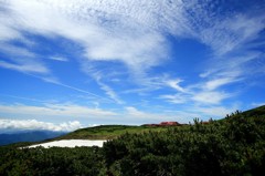 Cafe-download-112300828011317