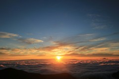 Cafe-download-112240825090336