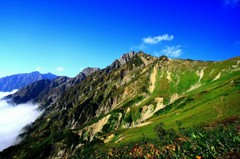 Cafe-download-112110110040219