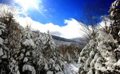 初雪山　歓迎