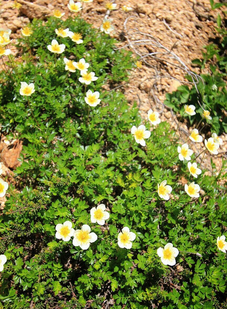 Cafe-download-112230416100126