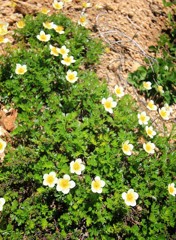 Cafe-download-112230416100126