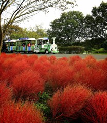 Cafe-download-112011230062333