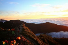 Cafe-download-112250322212225