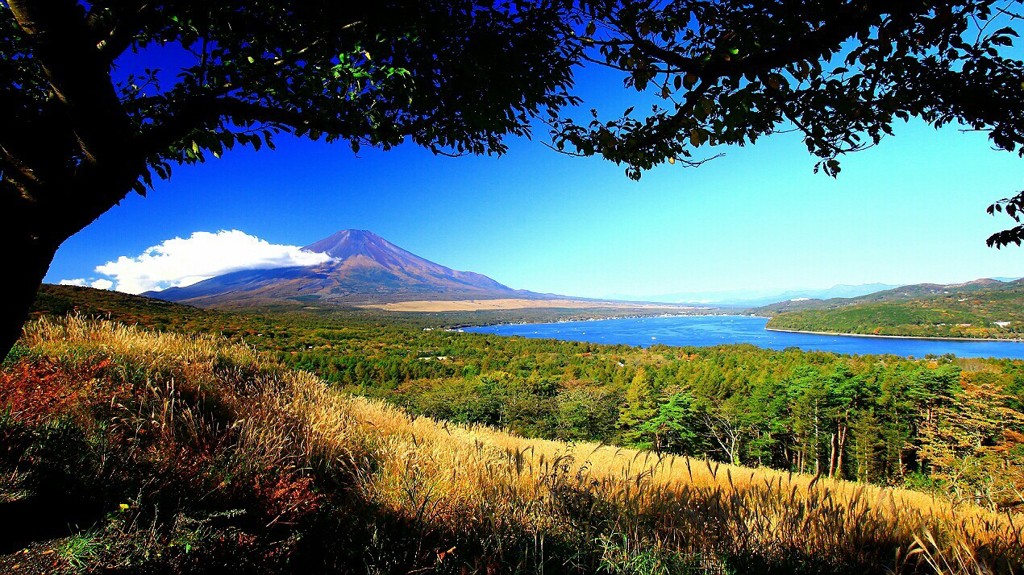 Cafe-download-111900105031731