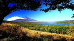 Cafe-download-111900105031731