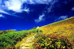 Cafe-download-112050402185031