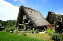 Cafe-download-112321031050847