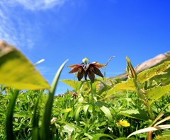 Cafe-download-112311202182052