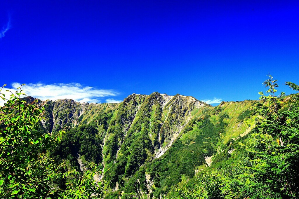 Cafe-download-112040907122324