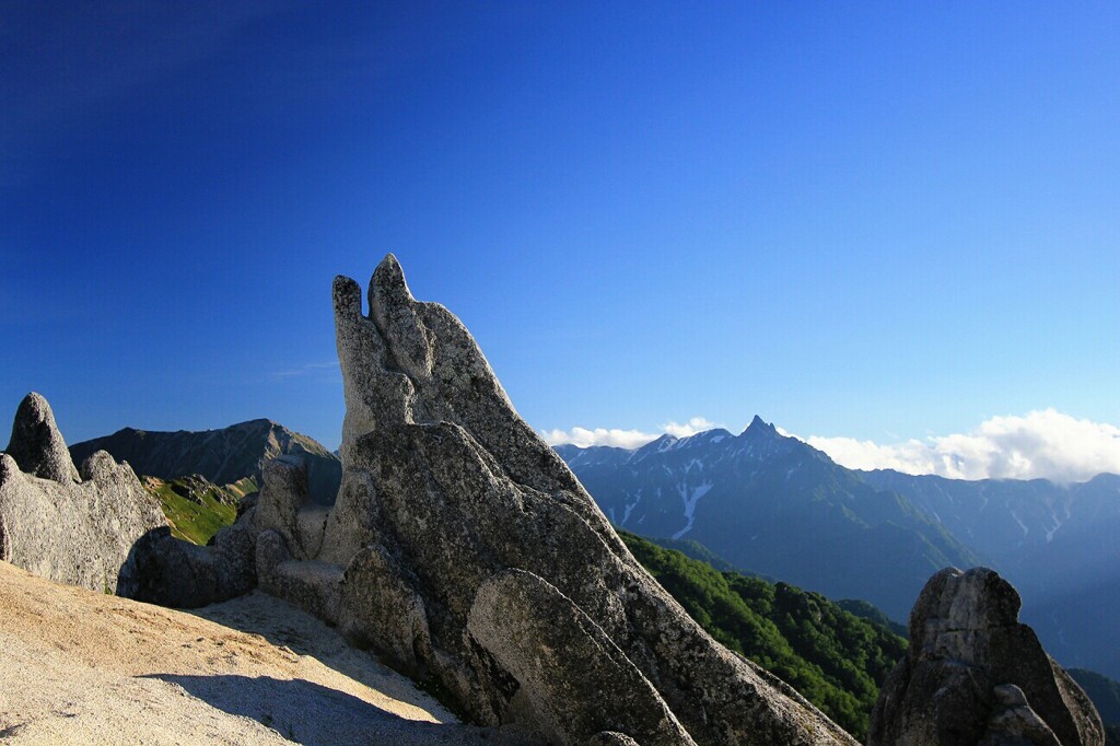 Cafe-download-112201115070547