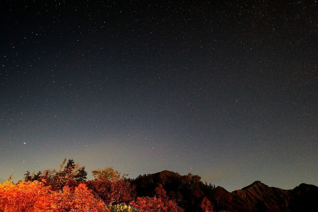 Cafe-download-112090626131006