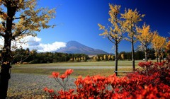 Cafe-download-111880220141011