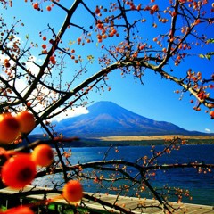 Cafe-download-111881008082107