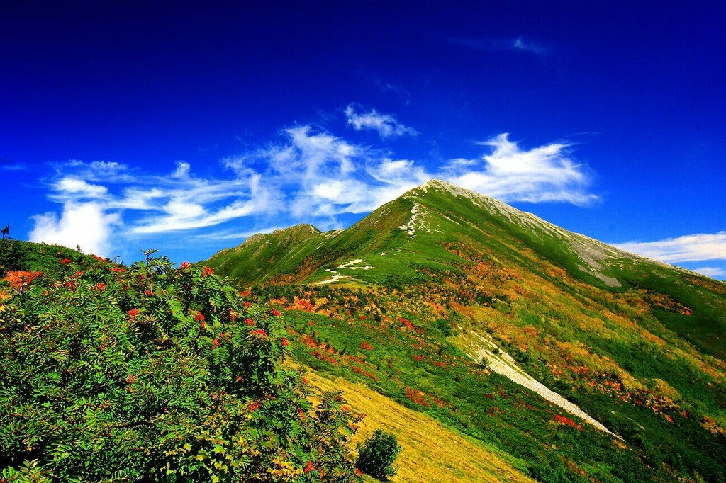 Cafe-download-112050820162728