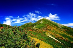 Cafe-download-112050820162728