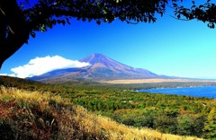 Cafe-download-111890716232735