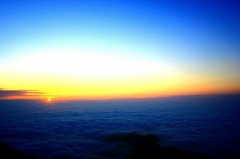 Cafe-download-112091017054419