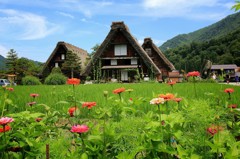 Cafe-download-112320712100645