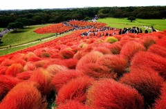 Cafe-download-112010417155318