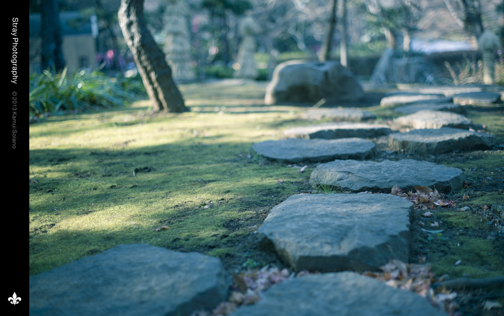 Stepping‐stones