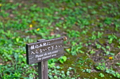 last remains of summer @koishikawa