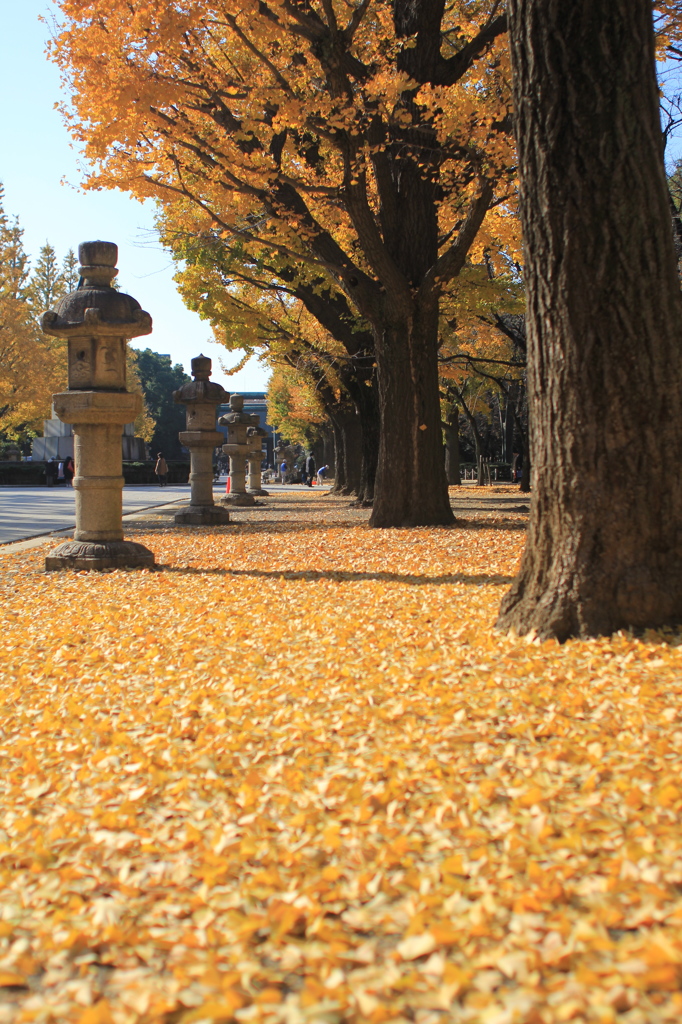 @yasukuni shrine