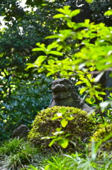 stone guardian dog@koishikawa