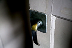 old train "suha-42"@ikuta green tract 3