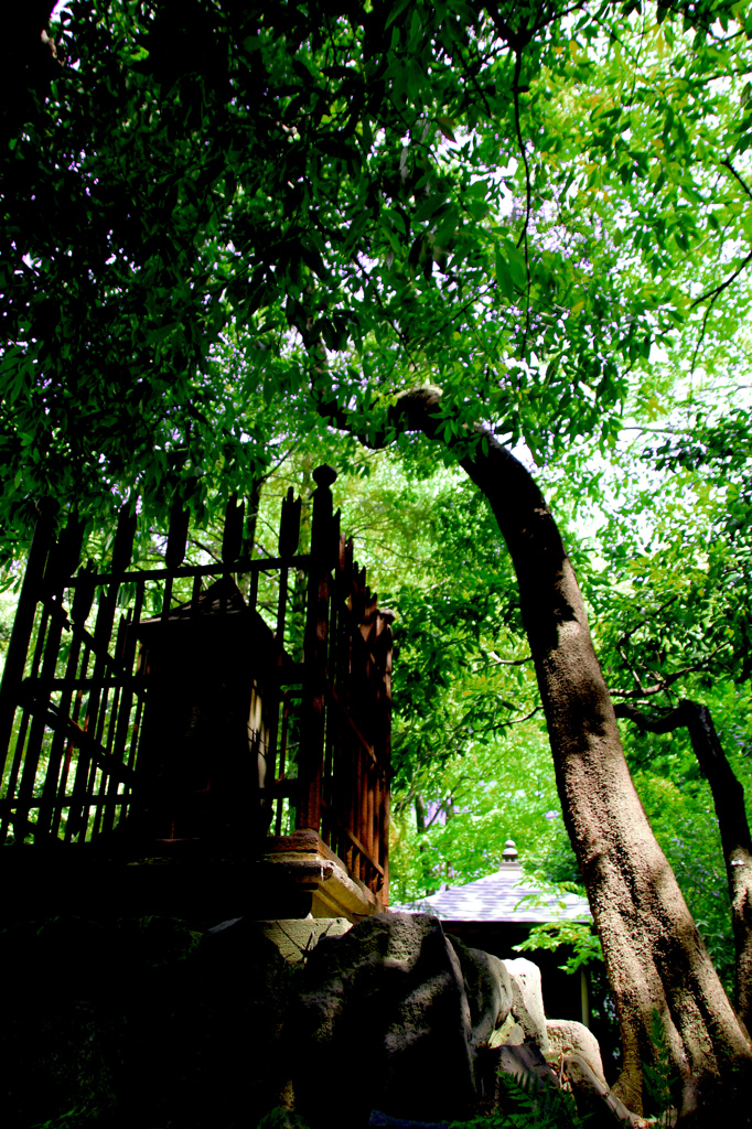stone stele @koishikawa-kourakuen