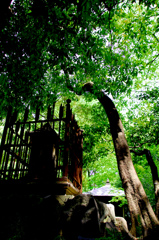 stone stele @koishikawa-kourakuen