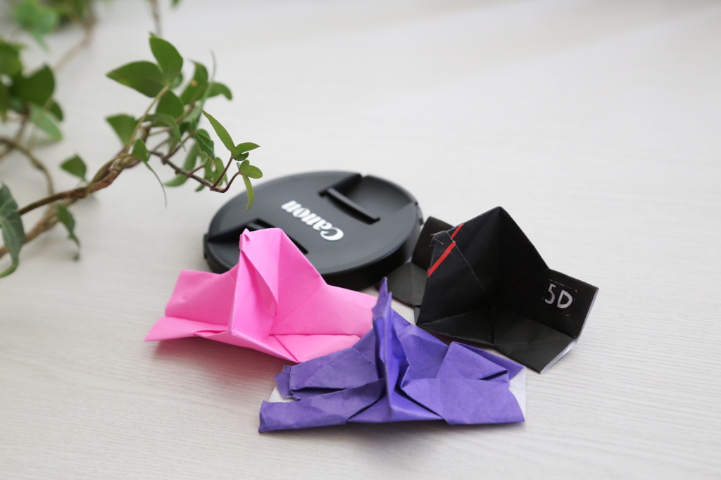 3years,6years,38years