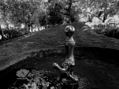 faucet@chidorigafuchi